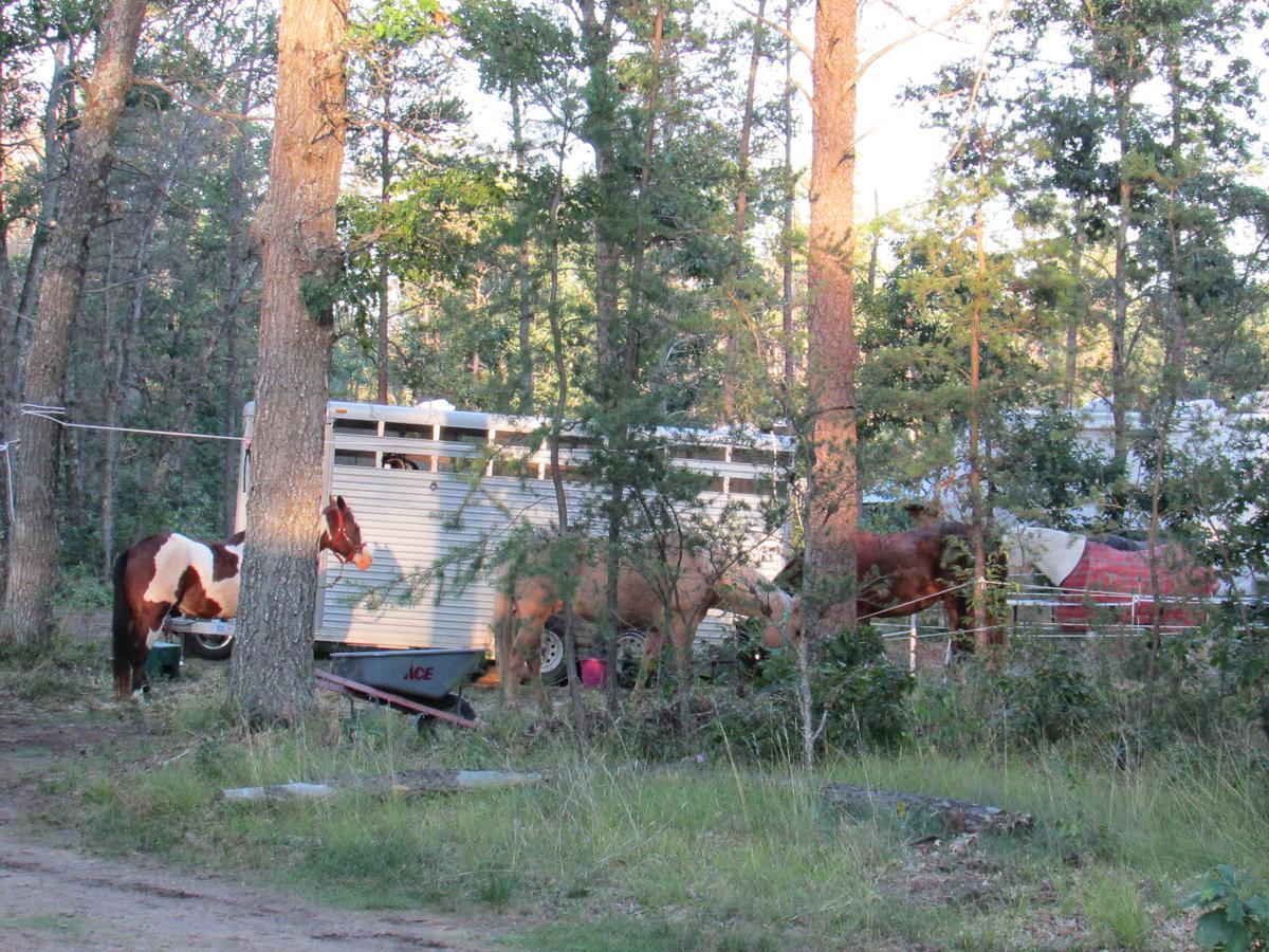 Best Bear Lodge & Campground Irons Exterior foto